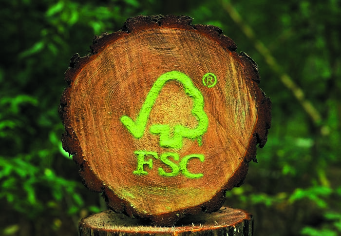FSC und Bäume für Alle FSC und Bäume für Alle