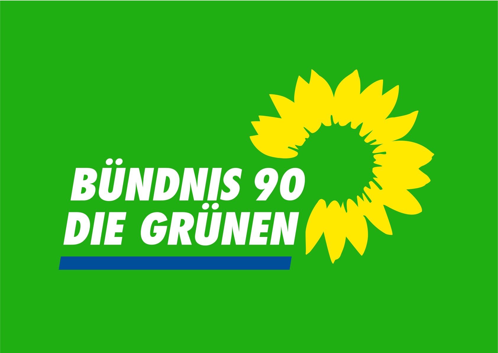 Interview: Dr. Julia Verlinden, Bündnis 90/ Die Grünen