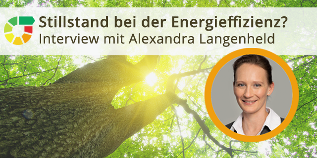 Stillstand Bei Der Energieeffizienz?