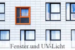 Blog Beitragsbild Fenster Uv Folie