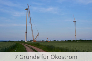 Blog Beitragsbild 7 Gründe ökostrom