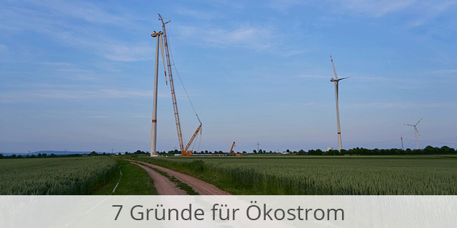 Ökostrom Weiter Im Trend – 7 Gründe, Warum Es Sich Lohnt Auf Grüne Energie Umzusteigen!