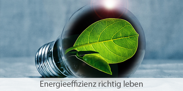 Fünf Tipps Für Eine Umweltschonende Energieversorgung Und Energieeffizienz