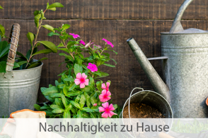 Blog Beitragsbild Nachhaltigkeit Im Garten